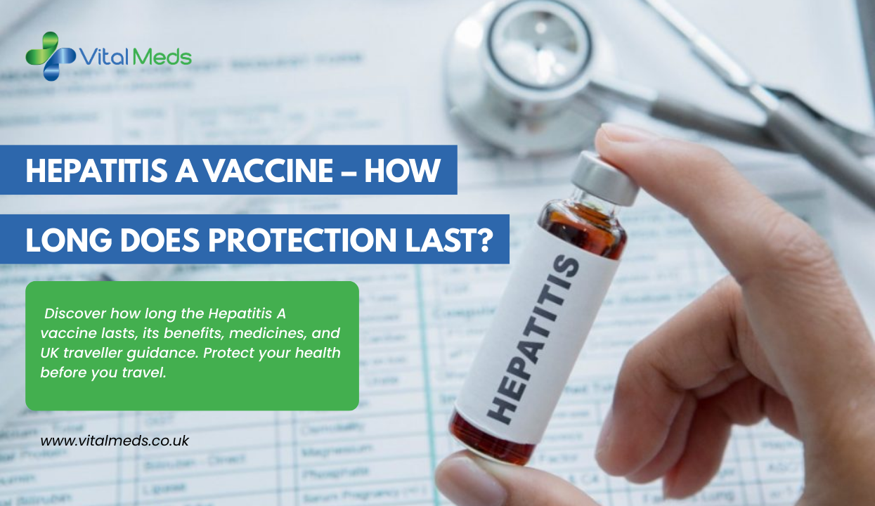 Hepatitis A Vaccine – How Long Does Protection Last?